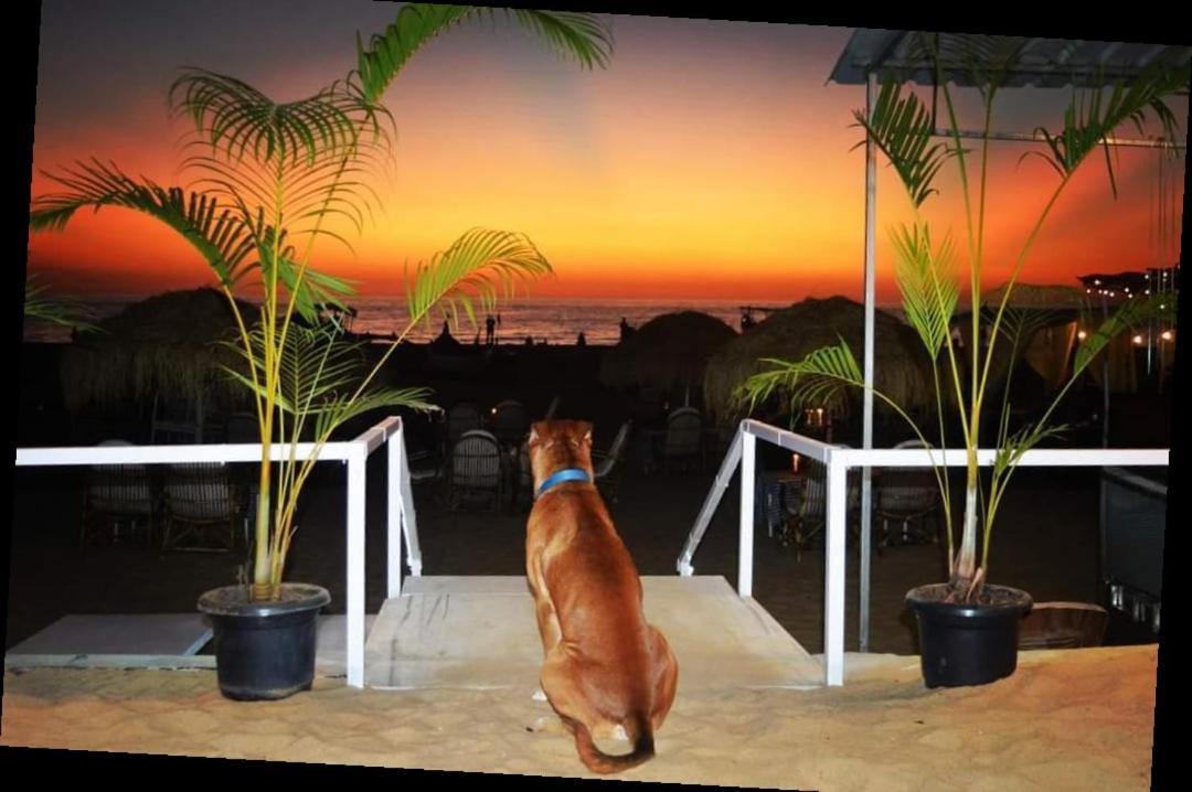 Baywatch Beach Resort Patnem Canacona Esterno foto